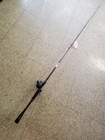 Shimano  Zodias Casting Rod & Reel Fishing Curado 201XG - zdc75ha