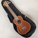 Kala KA-SLNG 60 Ukulele w/ Bag