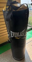 Everlasting Power Core Punching Bag