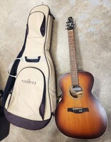 Seagull Entourage Rustic Concert Hall Acoustic Electric Guitar w/ Bag