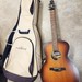 Seagull Entourage Rustic Concert Hall Acoustic Electric Guitar w/ Bag