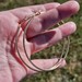 14K Yellow Gold Large Hoop Earrings 2.75 Inch Diameter 4.2 Grams