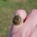  14K Yellow Gold Fire Agate Stone Cocktail Flower Style Ring 13x11mm Size 6