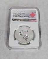 2024 Canada S$4 Autumn Beauty Reverse PF 70 Maple Leaf Fractional Set NGC Graded