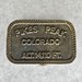 Vintage Pikes Peak Colorado Belt Buckle 