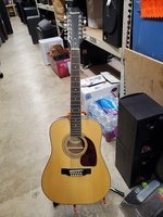 Epiphone - DR-212 12-String Acoustic Guitar
